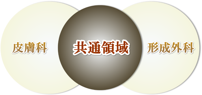 皮膚科と形成外科の共通領域