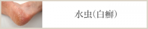 水虫(白癬)