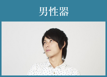 男性器