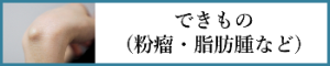 できもの(粉瘤・脂肪腫など)