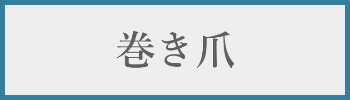巻き爪料金