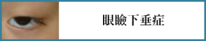 眼瞼下垂症