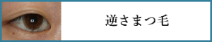 逆さまつ毛
