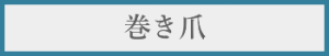 巻き爪料金